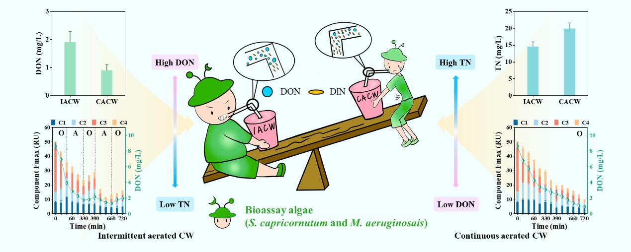 不同曝气方式下氮素去除效果及藻类生物量示意图